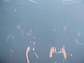 PIC_0008