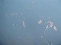 PIC_0015