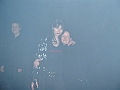 PIC_0019